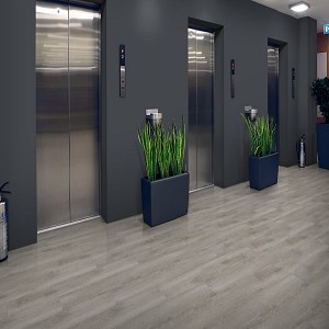 Chassis Pro Plank and TIle